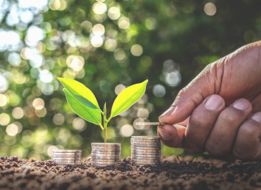Hand planting coins into stacks with growing green leaves, symbolizing life insurance wealth-building strategy