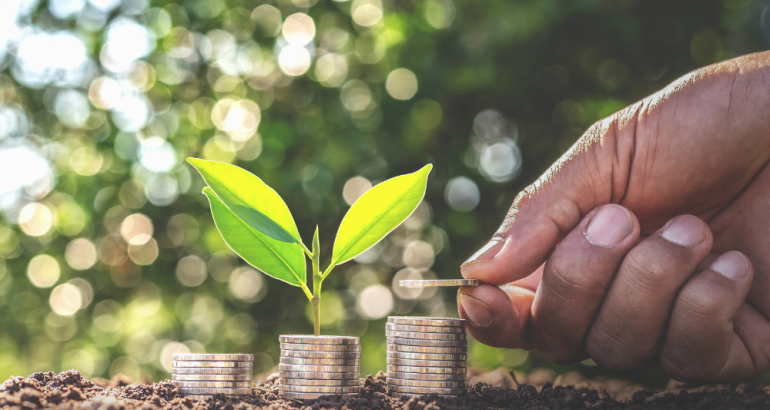 Hand planting coins into stacks with growing green leaves, symbolizing life insurance wealth-building strategy